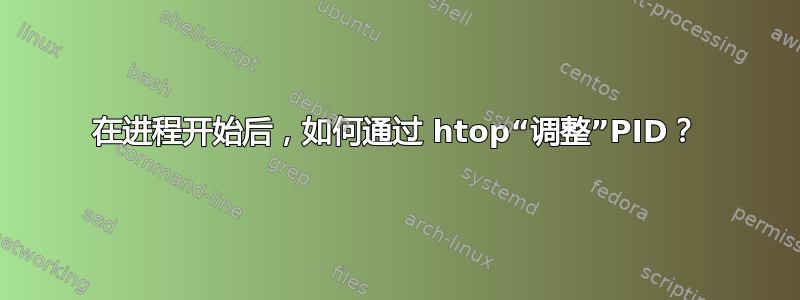 在进程开始后，如何通过 htop“调整”PID？