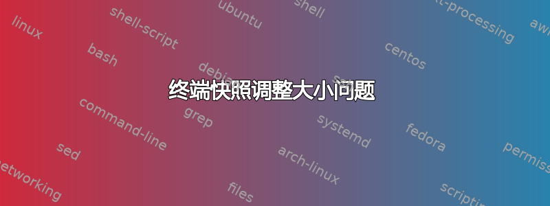 终端快照调整大小问题