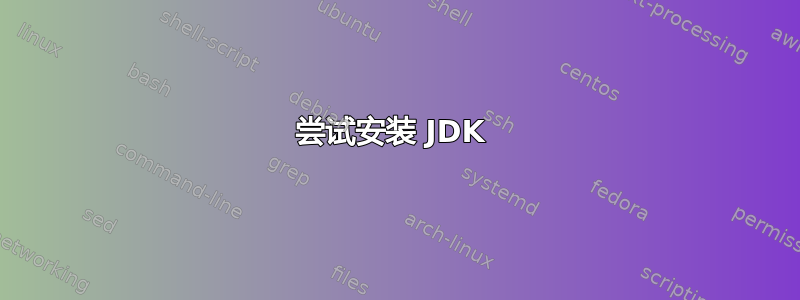 尝试安装 JDK 