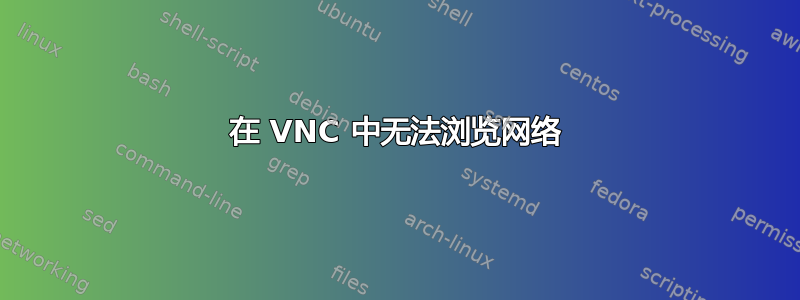 在 VNC 中无法浏览网络