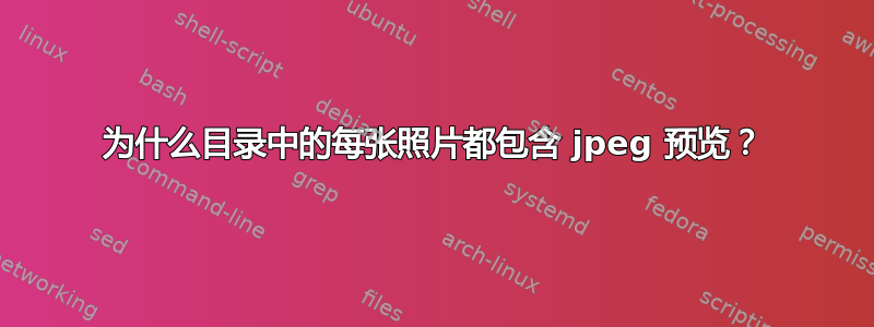 为什么目录中的每张照片都包含 jpeg 预览？