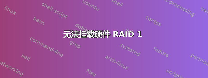 无法挂载硬件 RAID 1