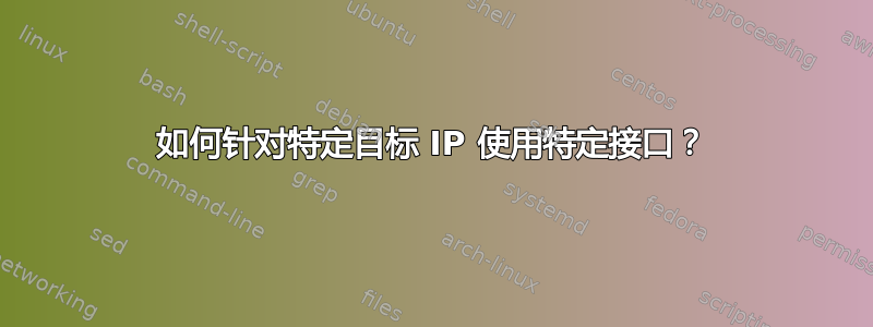 如何针对特定目标 IP 使用特定接口？