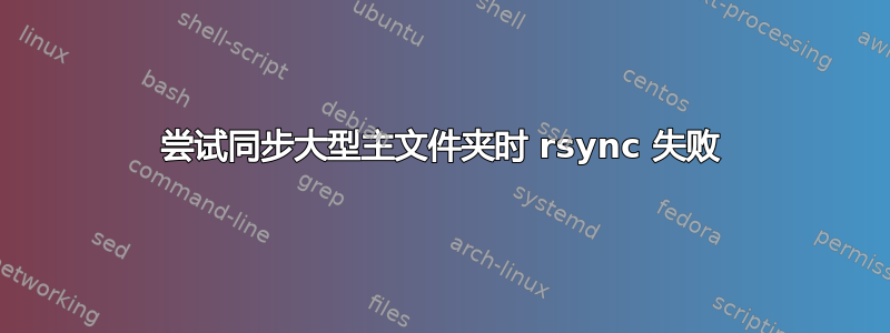 尝试同步大型主文件夹时 rsync 失败