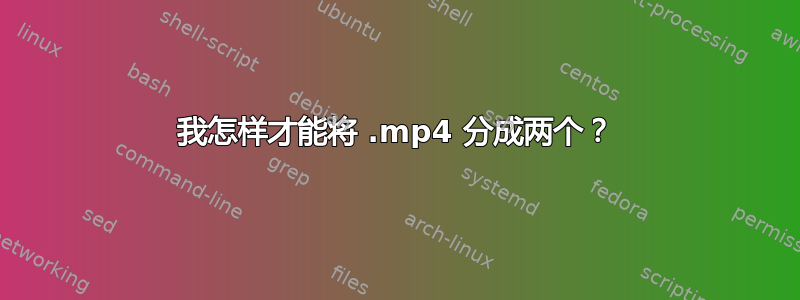 我怎样才能将 .mp4 分成两个？