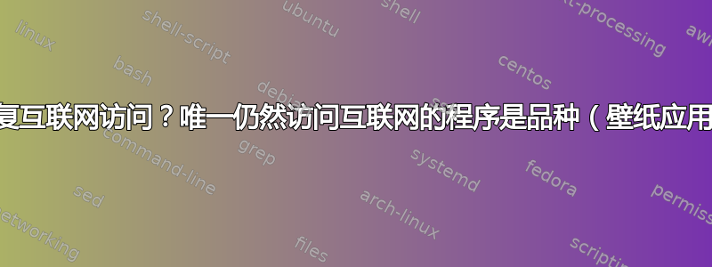 如何恢复互联网访问？唯一仍然访问互联网的程序是品种（壁纸应用程序）