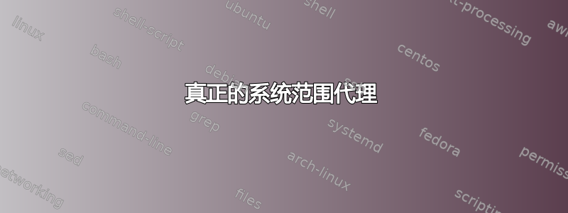 真正的系统范围代理