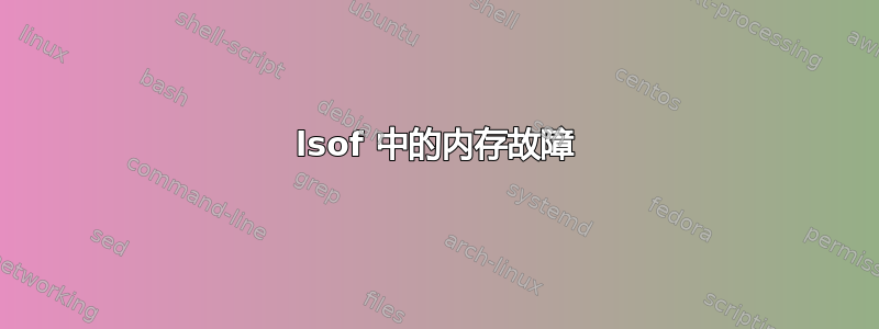 lsof 中的内存故障