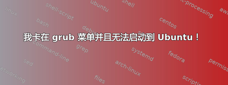 我卡在 grub 菜单并且无法启动到 Ubuntu！