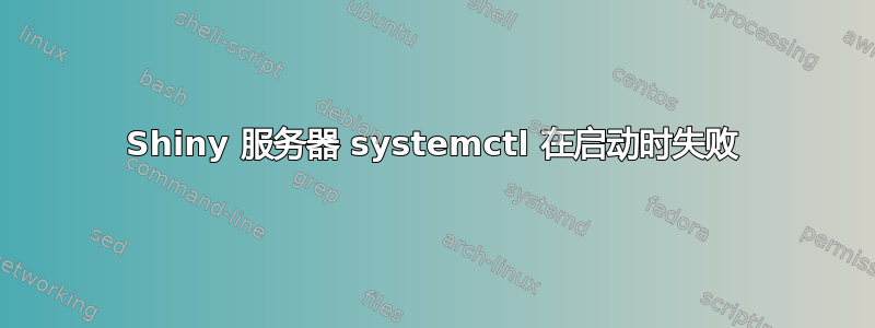 Shiny 服务器 systemctl 在启动时失败