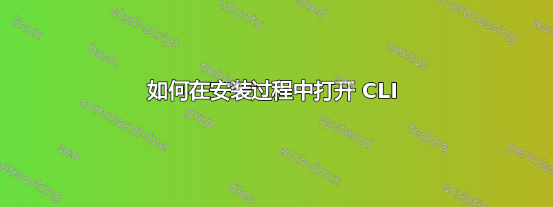 如何在安装过程中打开 CLI