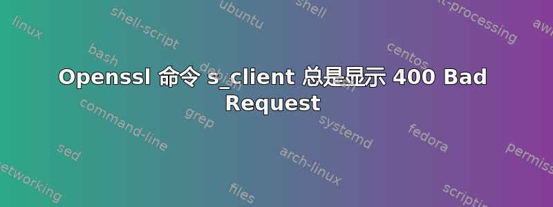 Openssl 命令 s_client 总是显示 400 Bad Request