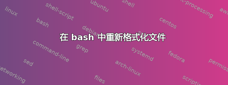 在 bash 中重新格式化文件