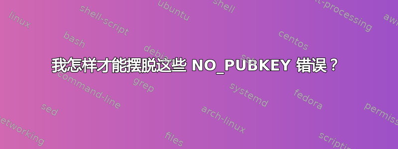 我怎样才能摆脱这些 NO_PUBKEY 错误？