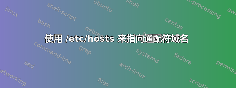 使用 /etc/hosts 来指向通配符域名