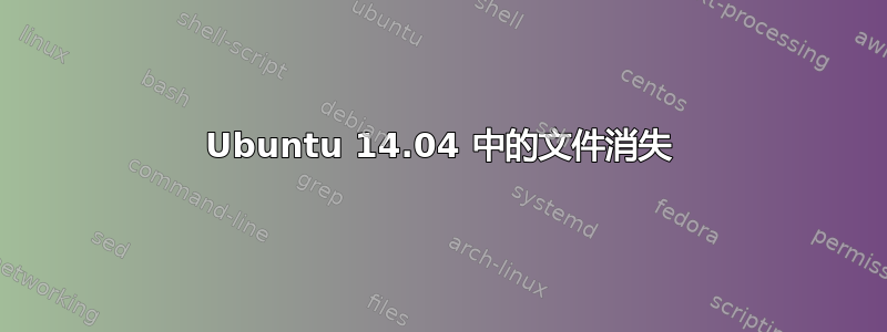 Ubuntu 14.04 中的文件消失