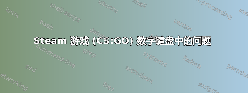 Steam 游戏 (CS:GO) 数字键盘中的问题