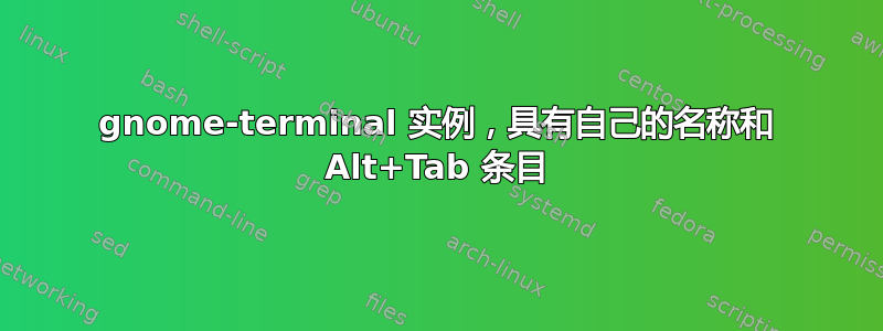 gnome-terminal 实例，具有自己的名称和 Alt+Tab 条目