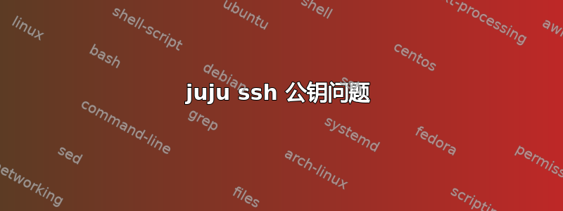 juju ssh 公钥问题