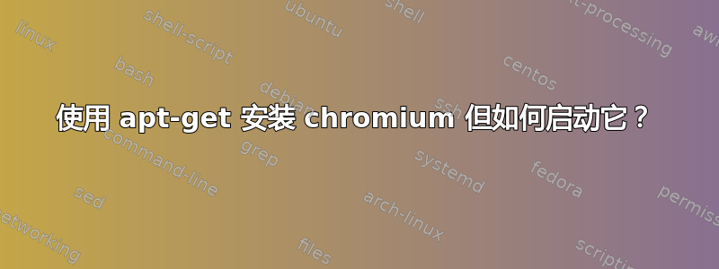 使用 apt-get 安装 chromium 但如何启动它？