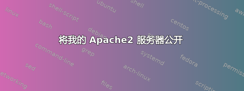 将我的 Apache2 服务器公开