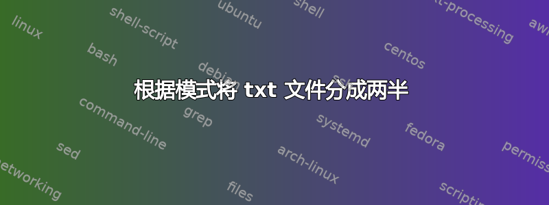 根据模式将 txt 文件分成两半