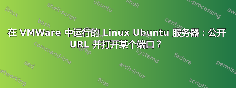 在 VMWare 中运行的 Linux Ubuntu 服务器：公开 URL 并打开某个端口？