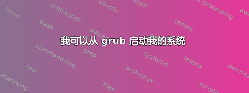 我可以从 grub 启动我的系统