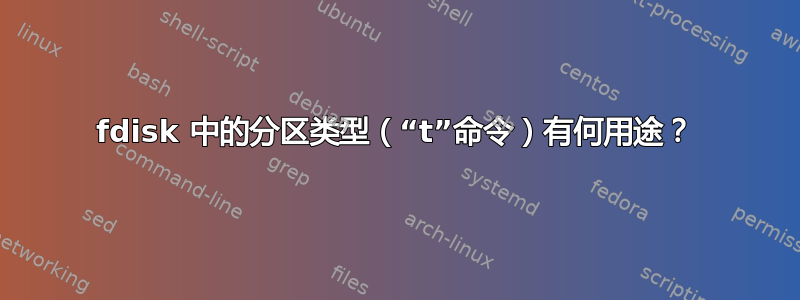 fdisk 中的分区类型（“t”命令）有何用途？