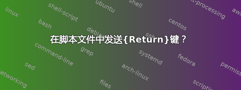 在脚本文件中发送{Return}键？