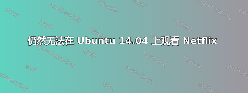 仍然无法在 Ubuntu 14.04 上观看 Netflix