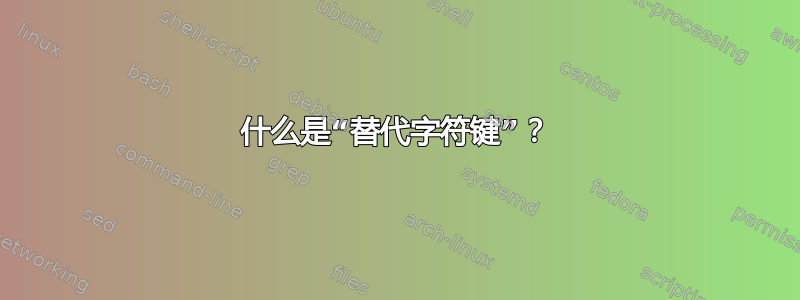 什么是“替代字符键”？