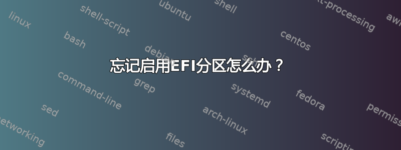 忘记启用EFI分区怎么办？