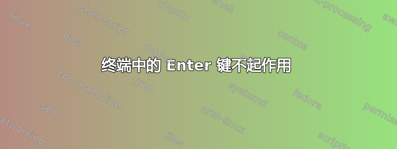 终端中的 Enter 键不起作用