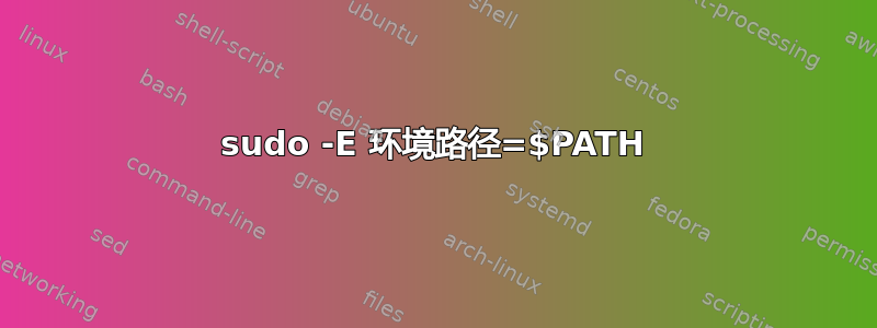 sudo -E 环境路径=$PATH