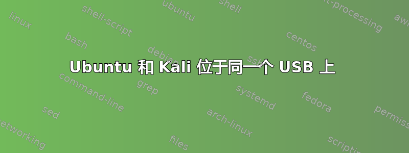 Ubuntu 和 Kali 位于同一个 USB 上