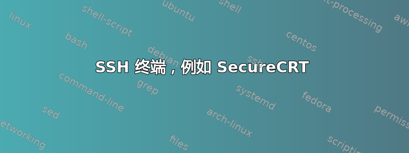 SSH 终端，例如 SecureCRT