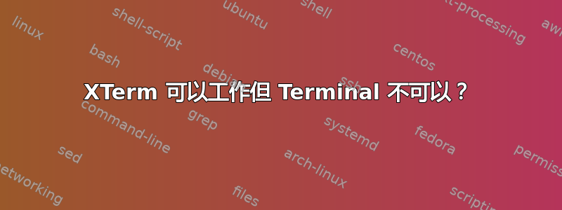 XTerm 可以工作但 Terminal 不可以？