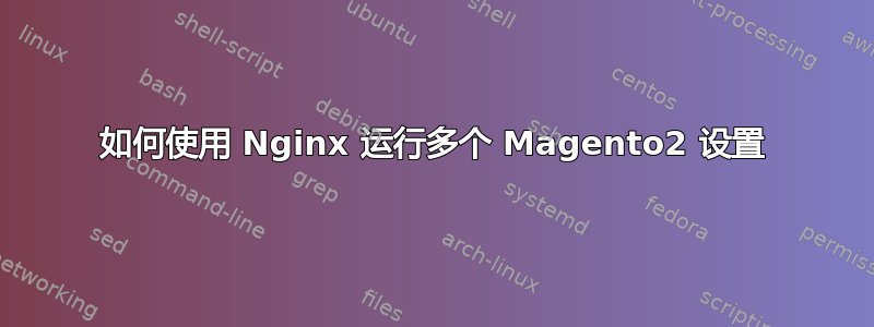 如何使用 Nginx 运行多个 Magento2 设置