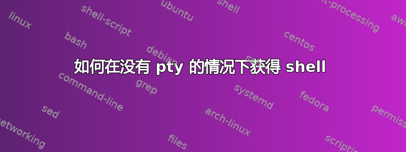 如何在没有 pty 的情况下获得 shell