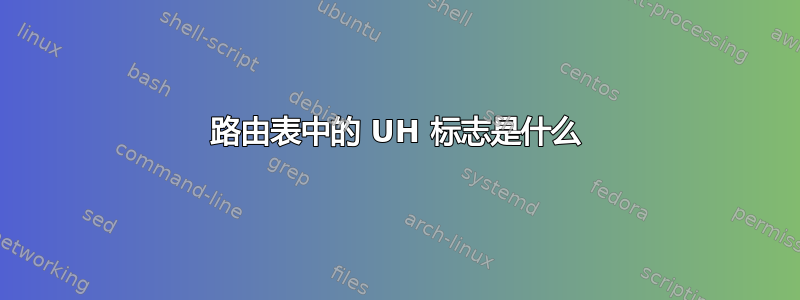 路由表中的 UH 标志是什么