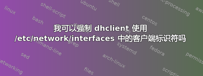 我可以强制 dhclient 使用 /etc/network/interfaces 中的客户端标识符吗