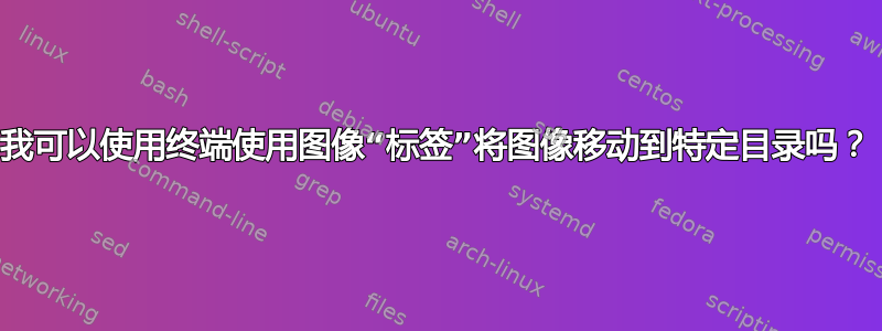 我可以使用终端使用图像“标签”将图像移动到特定目录吗？