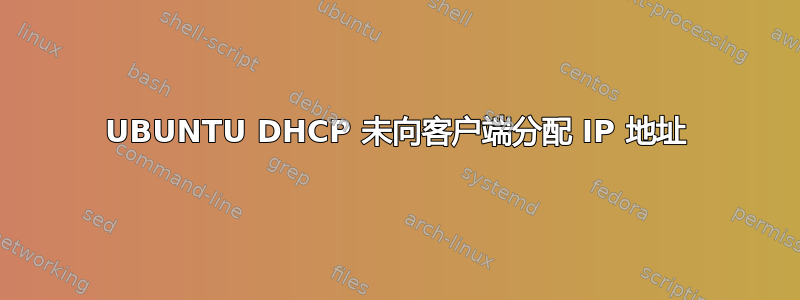 UBUNTU DHCP 未向客户端分配 IP 地址