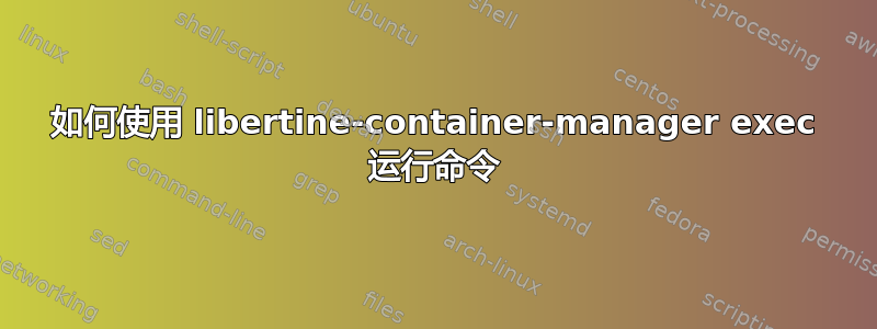 如何使用 libertine-container-manager exec 运行命令