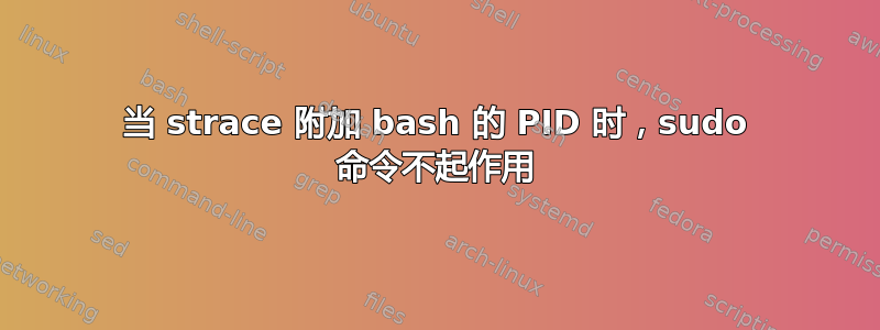 当 strace 附加 bash 的 PID 时，sudo 命令不起作用