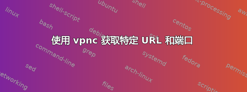 使用 vpnc 获取特定 URL 和端口