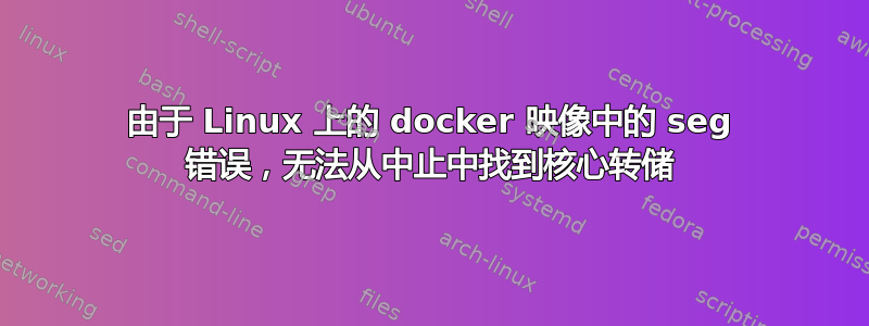 由于 Linux 上的 docker 映像中的 seg 错误，无法从中止中找到核心转储