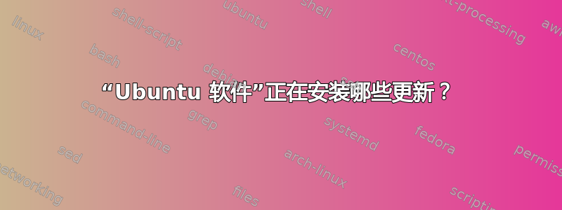 “Ubuntu 软件”正在安装哪些更新？