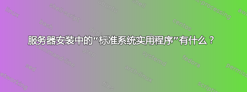 服务器安装中的“标准系统实用程序”有什么？